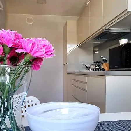 Apartament Art Centrum Διαμέρισμα Ζακοπάνε